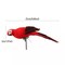 6Pcs Artificial Parrot Simulation Fake Birds Home Garden Yards Lawn Decor 25CM